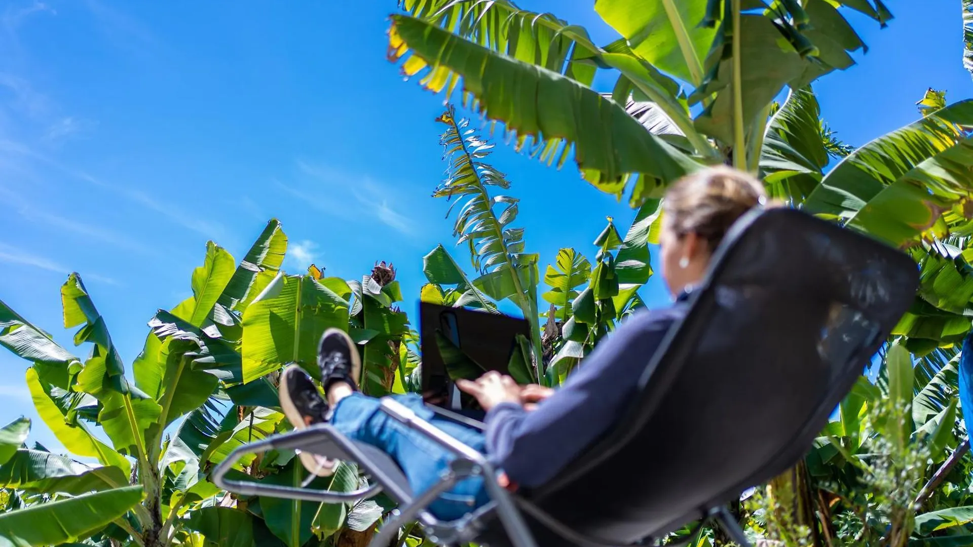 Sleep Among The Bananas! Rustic Cottage With Trails At Your Doorstep 蓬他达维托亚
