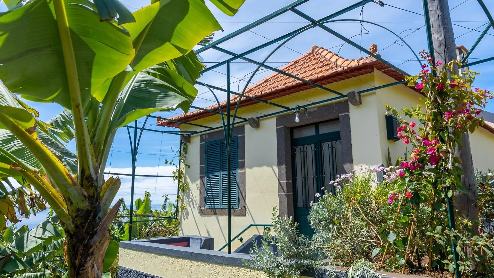 度假居 Sleep Among The Bananas! Rustic Cottage With Trails At Your Doorstep 蓬他达维托亚