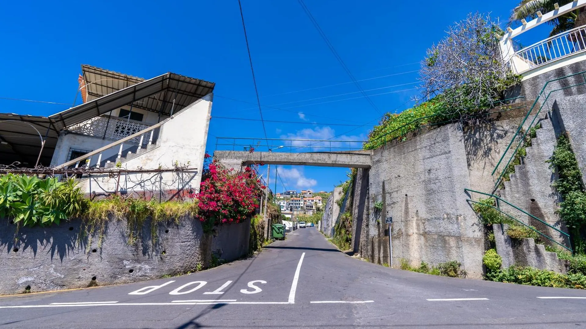 Sleep Among The Bananas! Rustic Cottage With Trails At Your Doorstep 蓬他达维托亚 度假居