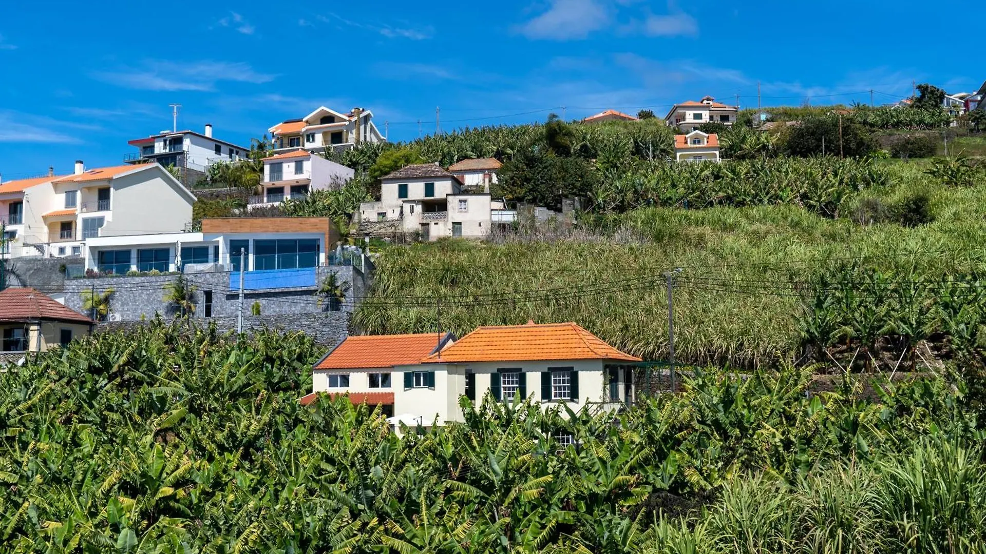 Sleep Among The Bananas! Rustic Cottage With Trails At Your Doorstep 蓬他达维托亚