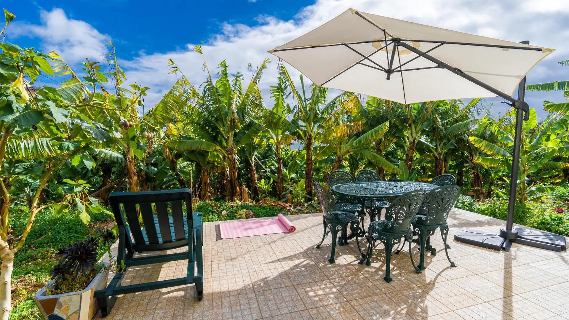 פונטה דו סול Sleep Among The Bananas! Rustic Cottage With Trails At Your Doorstep