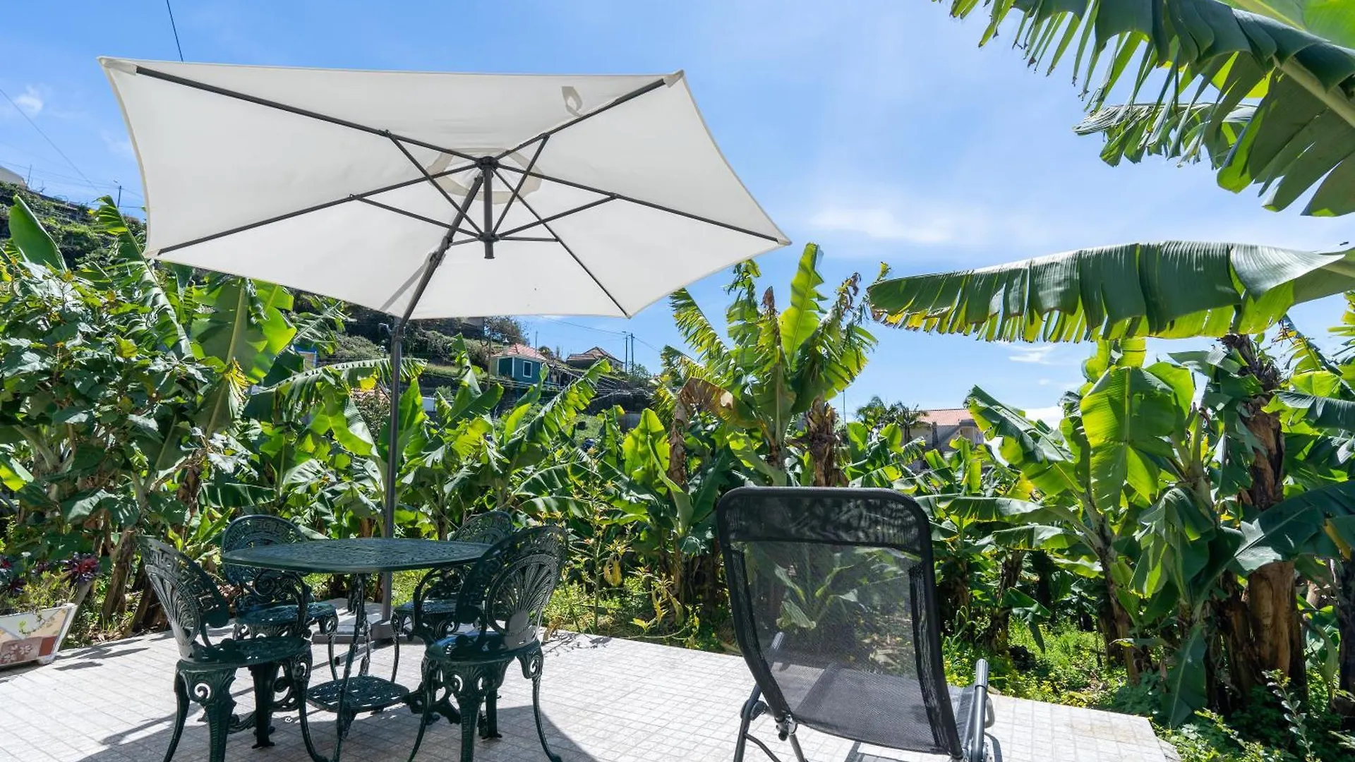 Sleep Among The Bananas! Rustic Cottage With Trails At Your Doorstep 蓬他达维托亚 度假居