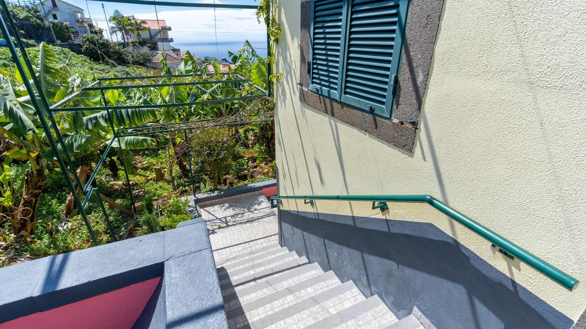 Sleep Among The Bananas! Rustic Cottage With Trails At Your Doorstep 蓬他达维托亚 0*,